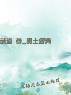 武道獨尊
