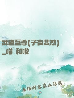 武道至尊(子夜斐然)