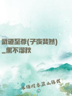 武道至尊(子夜斐然)