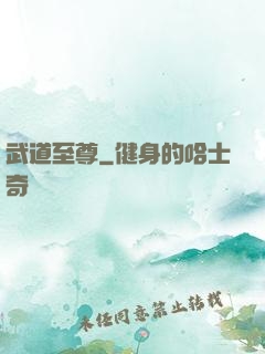 武道至尊