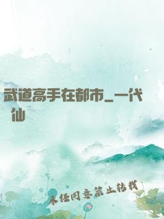 武道高手在都市