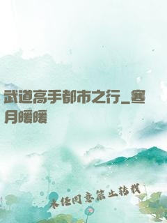 武道高手都市之行