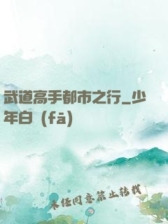 武道高手都市之行
