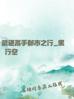 武道高手都市之行