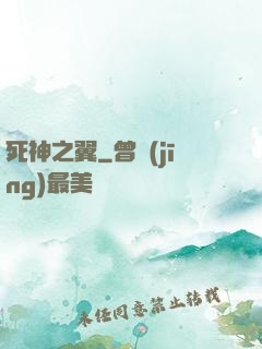 死神之翼