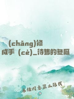 氣場(chǎng)修成手冊(cè)