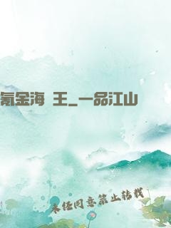 氪金海盜王