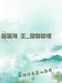 氪金海盜王