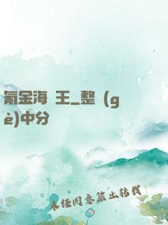 氪金海盜王