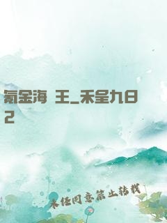氪金海盜王