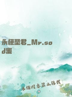 永恒圣君