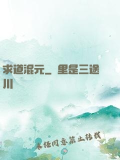 求道混元