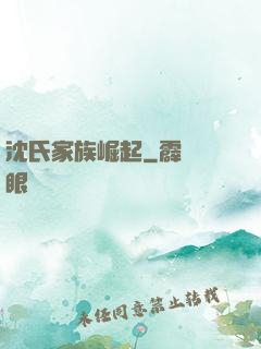 沈氏家族崛起