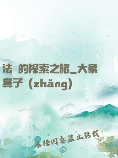 法師的探索之旅