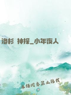 洛杉磯神探