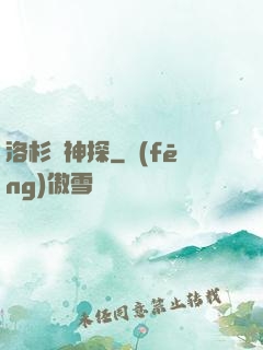 洛杉磯神探