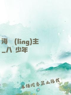海盜領(lǐng)主