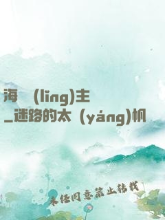 海盜領(lǐng)主