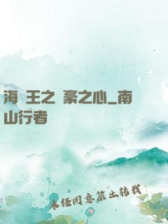 海賊王之劍豪之心