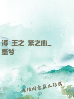 海賊王之劍豪之心
