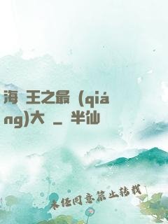 海賊王之最強(qiáng)大將