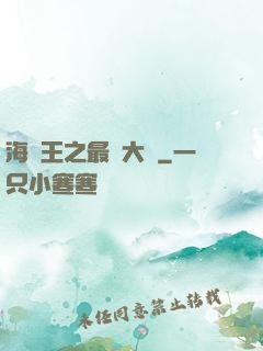 海賊王之最強大將