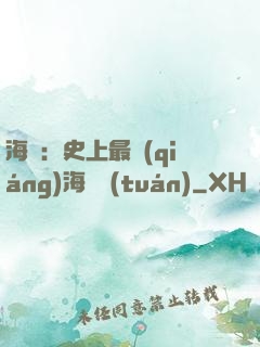 海賊：史上最強(qiáng)海賊團(tuán)