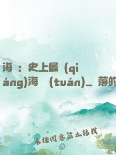 海賊：史上最強(qiáng)海賊團(tuán)