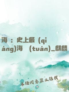 海賊：史上最強(qiáng)海賊團(tuán)