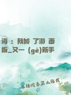 海賊：我加載了游戲面板
