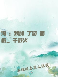 海賊：我加載了游戲面板