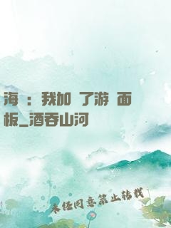 海賊：我加載了游戲面板