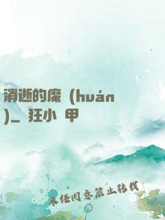 消逝的魔環(huán)