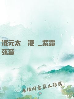 混元太極闖港綜