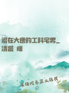 混在大唐的工科宅男