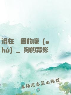 混在娛樂圈的魔術(shù)師