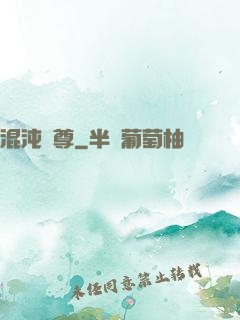 混沌劍尊