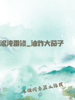 混沌雷修