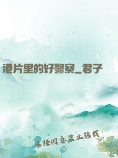 港片里的好警察