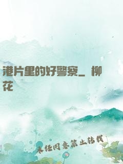 港片里的好警察