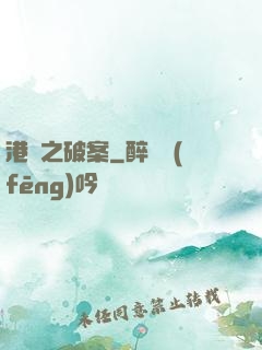 港綜之破案