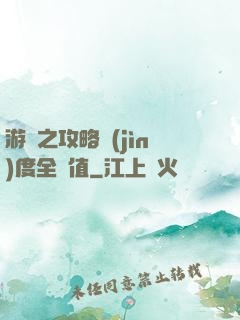 游戲之攻略進(jìn)度全滿值