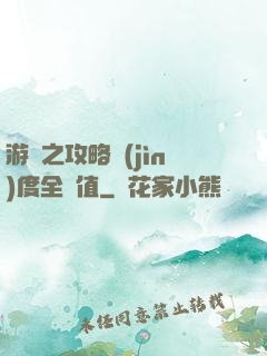 游戲之攻略進(jìn)度全滿值