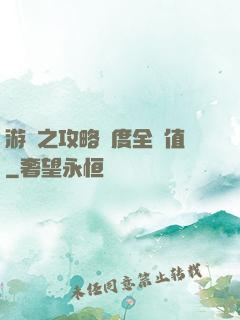 游戲之攻略進度全滿值