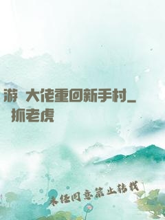游戲大佬重回新手村