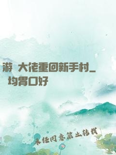 游戲大佬重回新手村