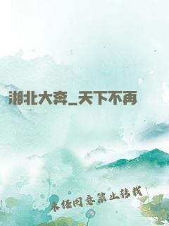 湘北大奔