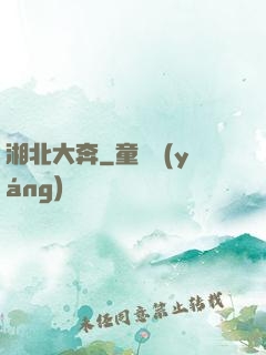 湘北大奔