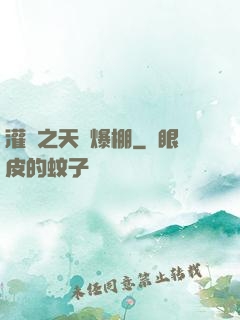 灌籃之天賦爆棚