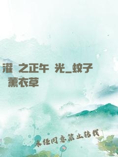 灌籃之正午陽光